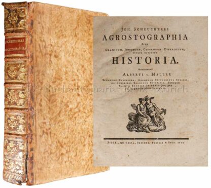 Scheuchzer, Johannes: -Agrostographia, sive, graminum, juncorum, cyperorum, cyperoidum iisque affinium historia.