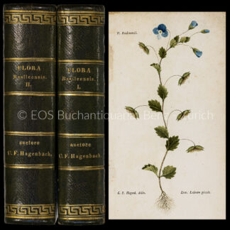 Hagenbach, Carl Friedrich: -Tentamen florae Basileensis exhibens plantas phanereogamas sponte nascentes secundum systema sexuale digestas. Adjectis Bauhinis synonymis ope horti ejus sicci comprobatis.