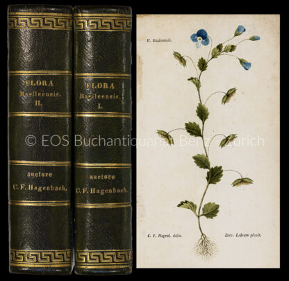 Hagenbach, Carl Friedrich: -Tentamen florae Basileensis exhibens plantas phanereogamas sponte nascentes secundum systema sexuale digestas. Adjectis Bauhinis synonymis ope horti ejus sicci comprobatis.