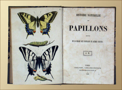 Costan, Alf.: -Histoire naturelle des papillons