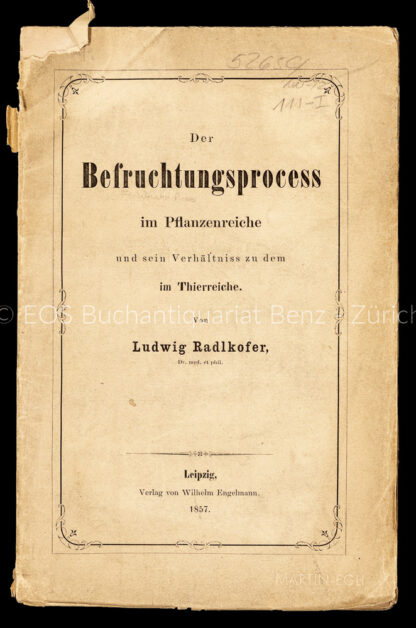 Radlkofer, Ludwig: -Der Befruchtungsprocess im Pflanzenreiche und sein Verhältniss zu dem Thierreiche.