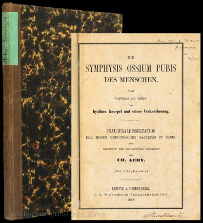 Aeby, Christoph Theodor: -Die Symphysis ossium pubis des Menschen.