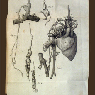 Haller, Albrecht von: -Disputationum anatomicarum selectarum.