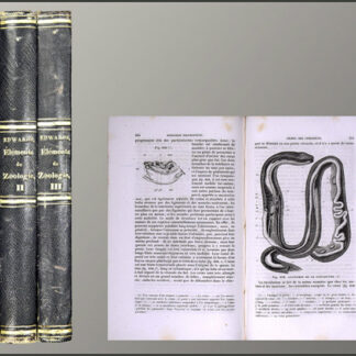 Milne Edwards, H(enri): -Elémens de zoologie, ou leçons sur l'anatomie, la physiologie, la classification et les moeurs des animaux.