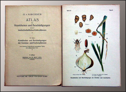 Kirchner, O. v.: -Atlas der Krankheiten und Beschädigungen unserer landwirtschaftlichen Kulturpflanzen.