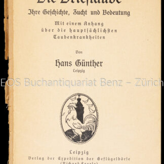 Günther, Hans: -Die  Brieftaube.