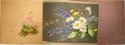 Kummler, Hermann: -Album mit Originalzeichnungen und Aquarelle von einheimischen Pflanzen und Blumen.