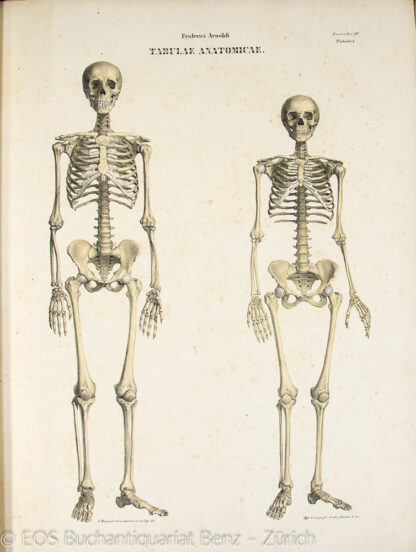 Arnold, Friedrich: -Tabulae anatomicae.