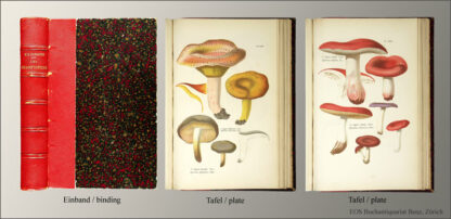 Cordier, F(rançois) S(imon): -Les champignons.