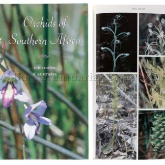 Linder, H(ans) P(eter) u. Kurzweil, H.: -Orchids of Southern Africa.