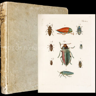 Füssli, Johann Caspar: -Archiv der Insectengeschichte. Herausgegeben von Johann Caspar Füessly.