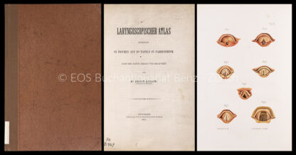 Burow, Ernst: -Laryngoscopischer Atlas.