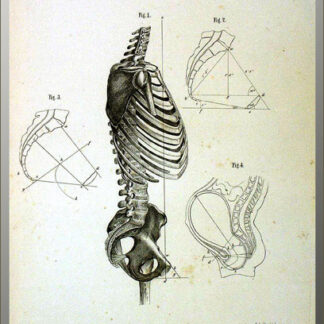 Kiwisch von Rotterau, Franz: -Atlas der Geburtskunde mit Einschluss der Lehre von den übrigen Fortpflanzungsvorgängen im weiblichen Organismus. I. Abtheilung. Physiologie und Diätetik (alles was erschienen).