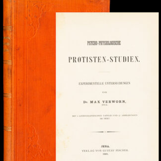 Verworn, Max: -Psycho-physiologische Protisten-Studien.