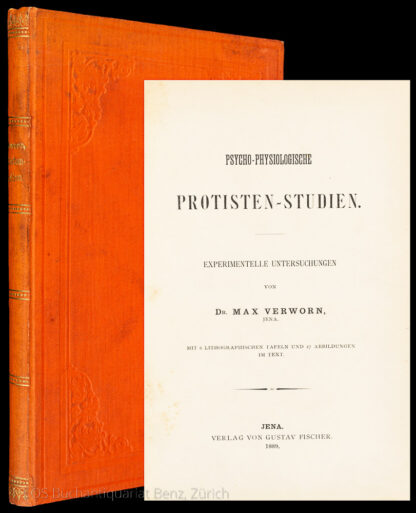 Verworn, Max: -Psycho-physiologische Protisten-Studien.