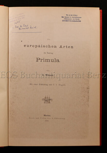 Widmer, E(lise): -Die europäischen Arten der Gattung Primula.