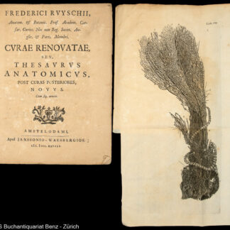 Ruysch, Frederik: -Curae renovatae seu,