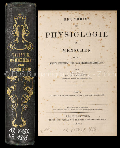 Valentin, Gabriel Gustav: -Grundriß der Physiologie des Menschen.