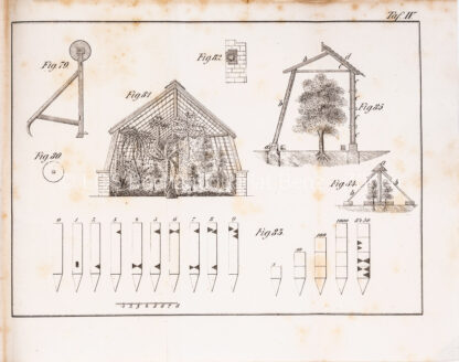 Ritter, Johann Albert:  Allgemeines deutsches Gartenbuch. – Bild 2