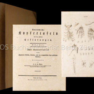 Mayer, Johann Christoph Andreas: -Anatomische Kupfertafeln.