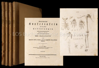 Mayer, Johann Christoph Andreas: -Anatomische Kupfertafeln.