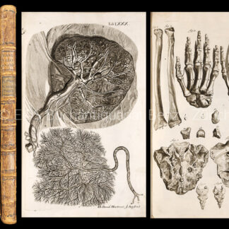 Manget, Jean Jacques: -Theatrum anatomicum...