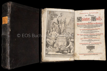 Zwinger, Theodor (1658–1724); -Theatrum Botanicum, das ist neu vollkommenes Kräuterbuch, Worinnen Allerhand Erdgewächse der Bäumen, Stauden und Kräutern ... Erstens zwar an das Tagliecht gegeben von Bernhard Verszascha. Anjetzo aber ... vermehret und verbessert durch Theodorum Zwingerum.