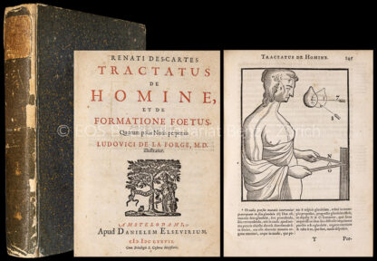 Descartes, René: -Tractatus de homine, et de formatione foetus.